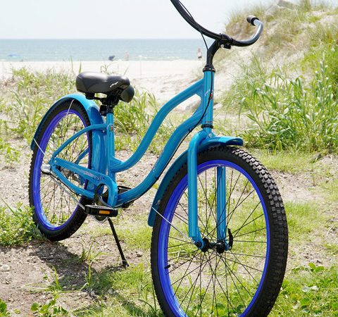 Longboard Custom 3 Speed