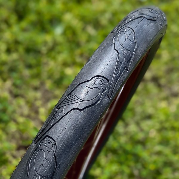 Mango Parrot 26” Cruiser Tire